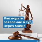 Пензенцы смогут подать заявление в суд через МФЦ