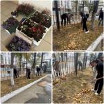 Санитарная пятница в ГАУ МФЦ: территория в порядке!