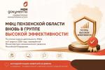 мфц пензенской области вновь в группе высокой эффективности 