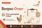В МФЦ кур не регистрируют: как поставить птицу на учёт с 1 сентября 2026 года
