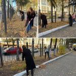 Осень в разгаре — уборка по плану!